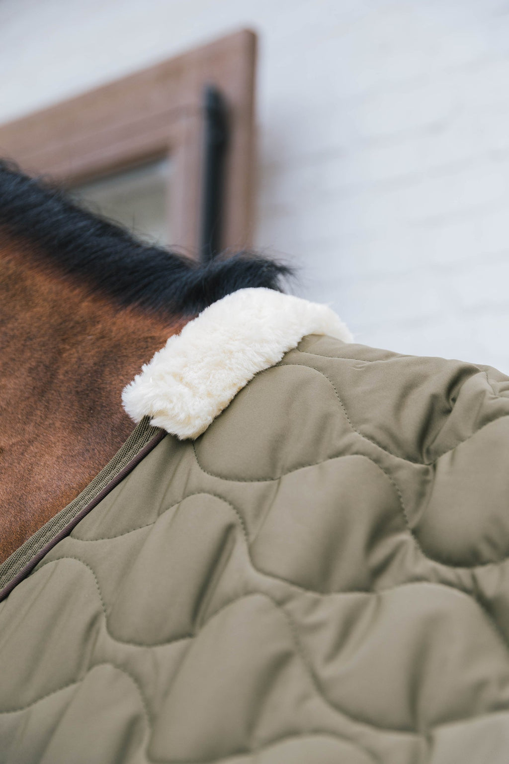 Kentucky Transport Cooler Fleece-Decke - Combo