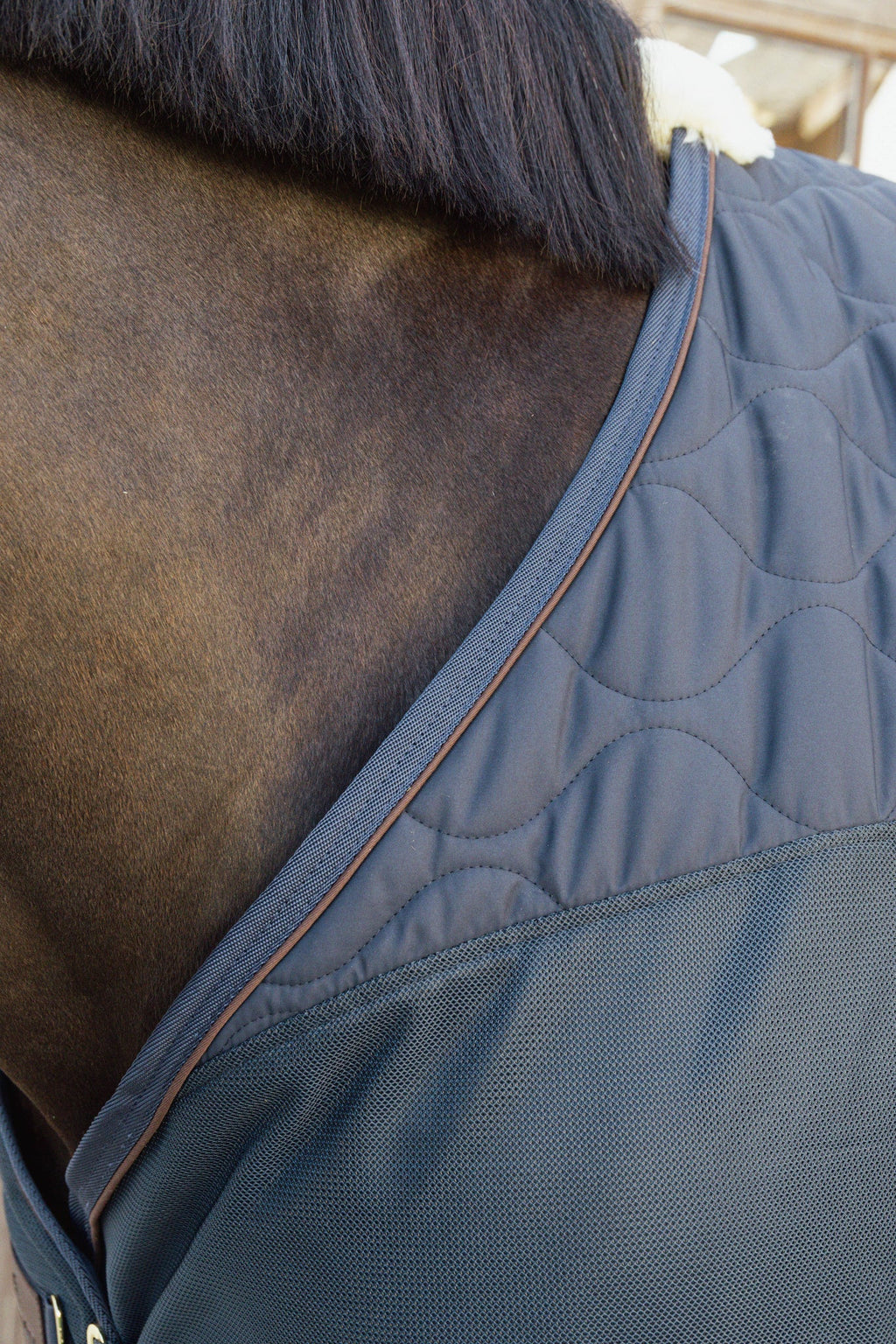 Kentucky Transport Cooler Fleece-Decke - Combo