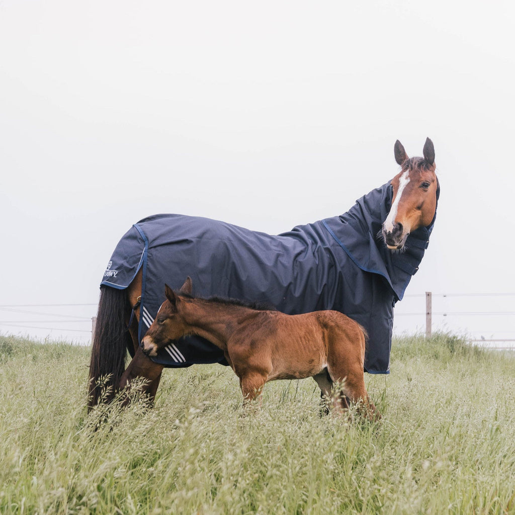 Kentucky Turnout All Weather Decke Comfort - Wasserdicht - 300 G