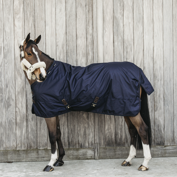 Kentucky Rug All Weather Pro 0 g Fur