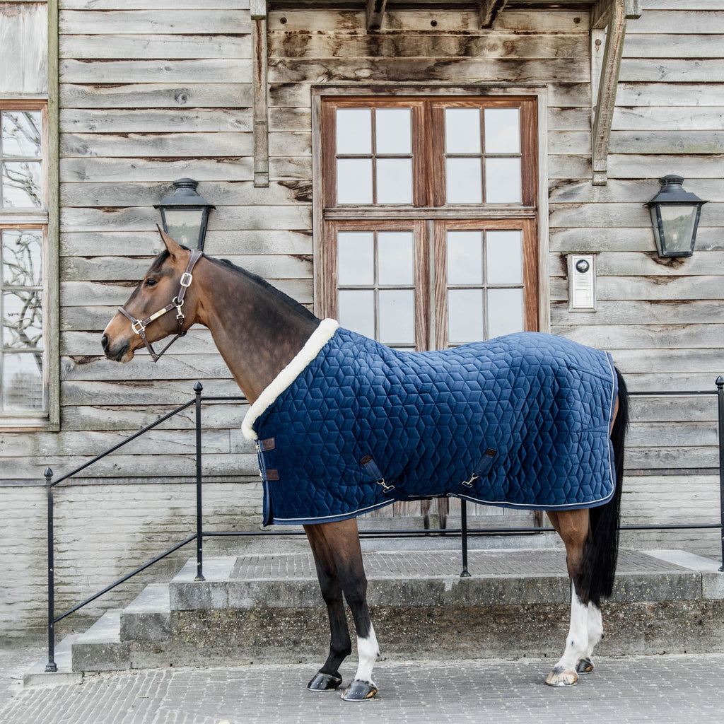 Kentucky Show Rug Velvet - 160G
