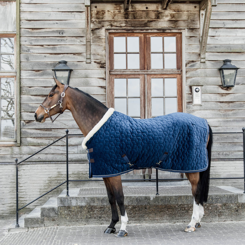 Kentucky Show Rug Velvet - 160G
