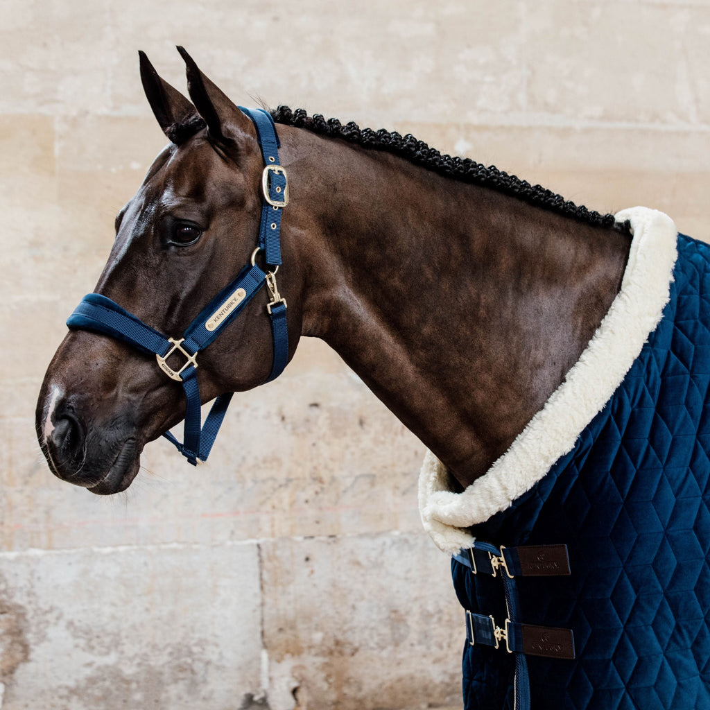 Kentucky Show Rug Velvet - 160G