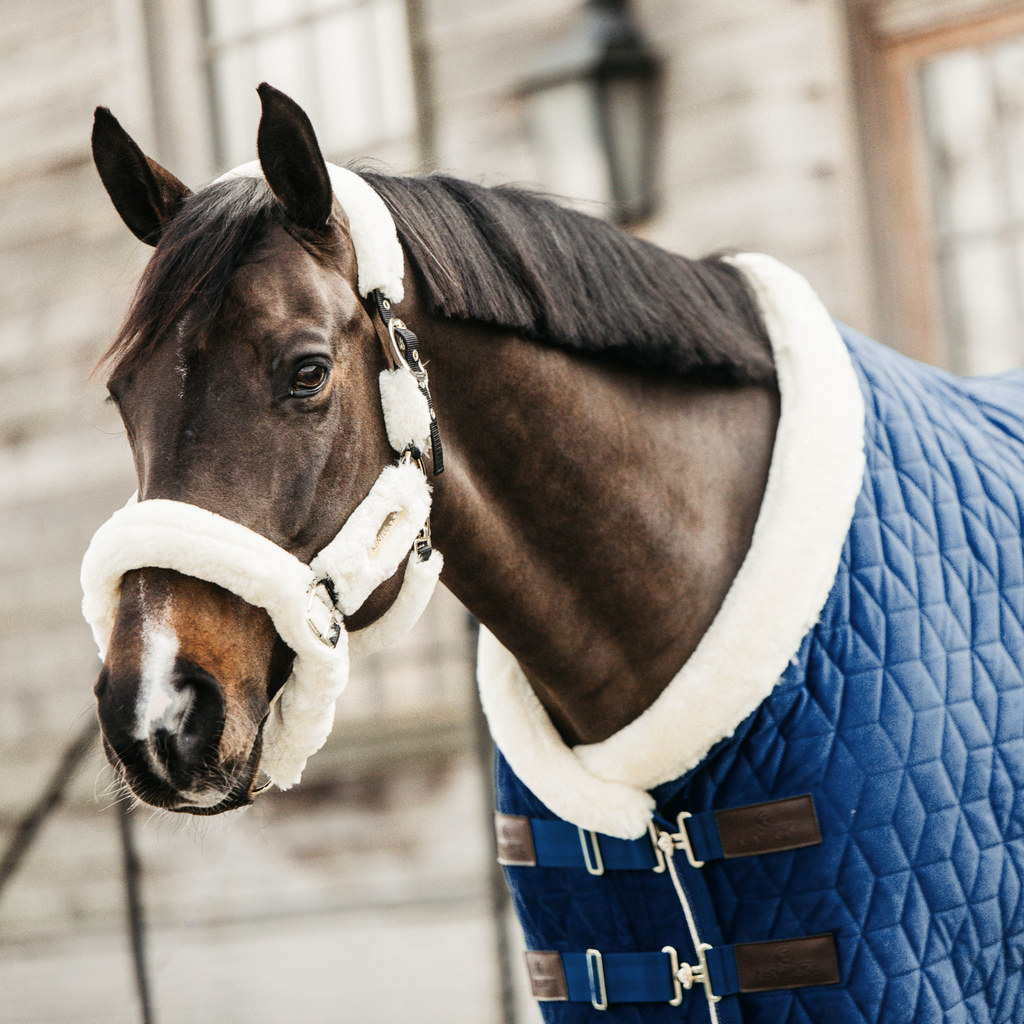 Kentucky Show Rug Velvet - 160G