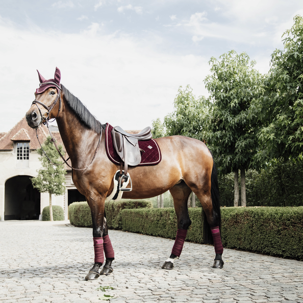 Bandes Polaires Kentucky