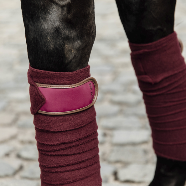 Bandes Polaires Kentucky