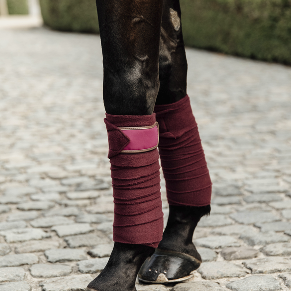 Bandes Polaires Kentucky