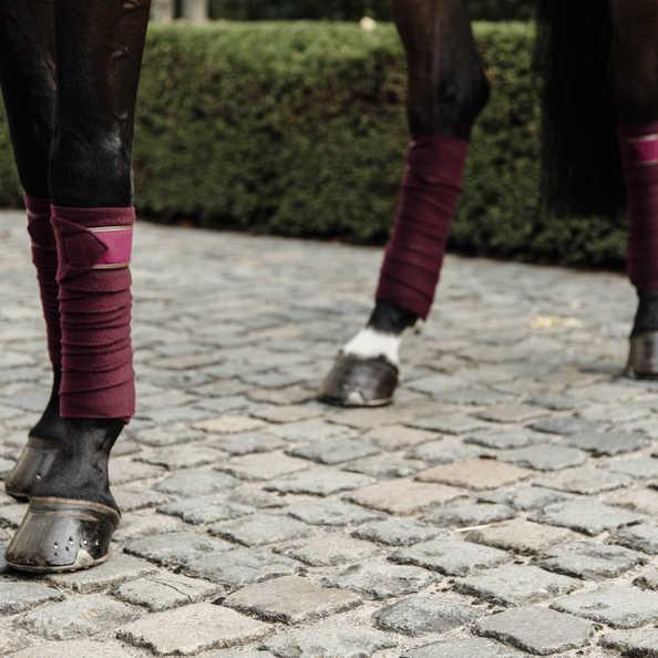 Bandes Polaires Kentucky