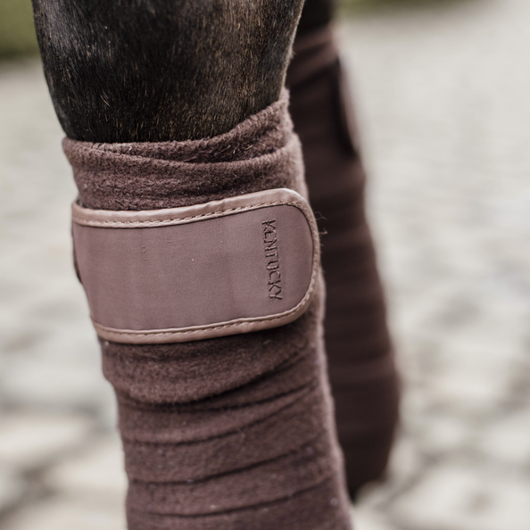 Bandes Polaires Kentucky