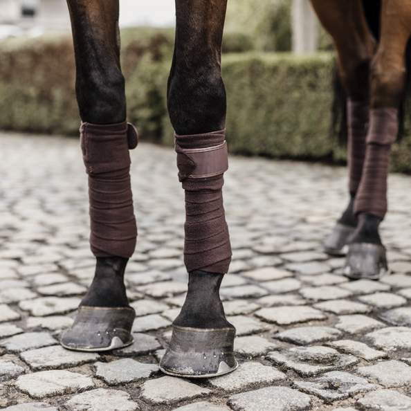 Bandes Polaires Kentucky