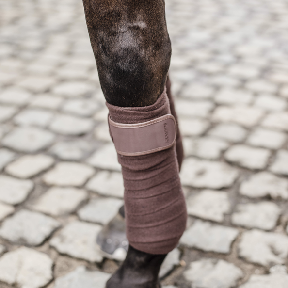 Bandes Polaires Kentucky