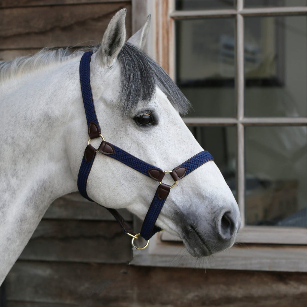 Kentucky Geflochtenes Nylonhalfter
