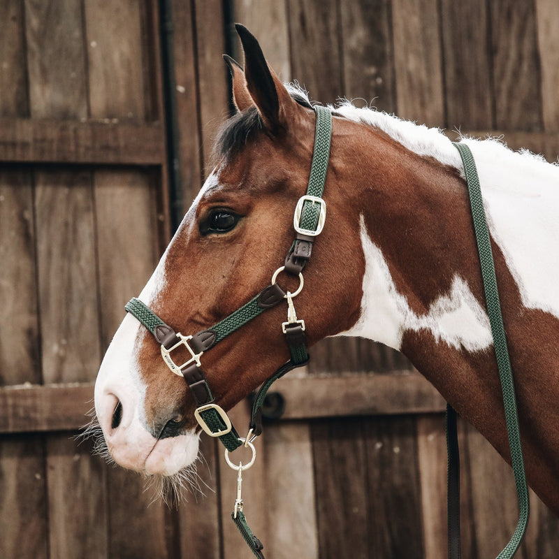 Kentucky Halster - Gevlochten Nylon