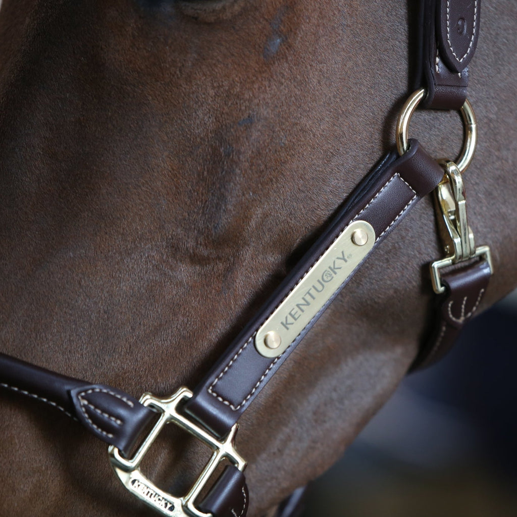 Kentucky Anatomisches Lederhalfter