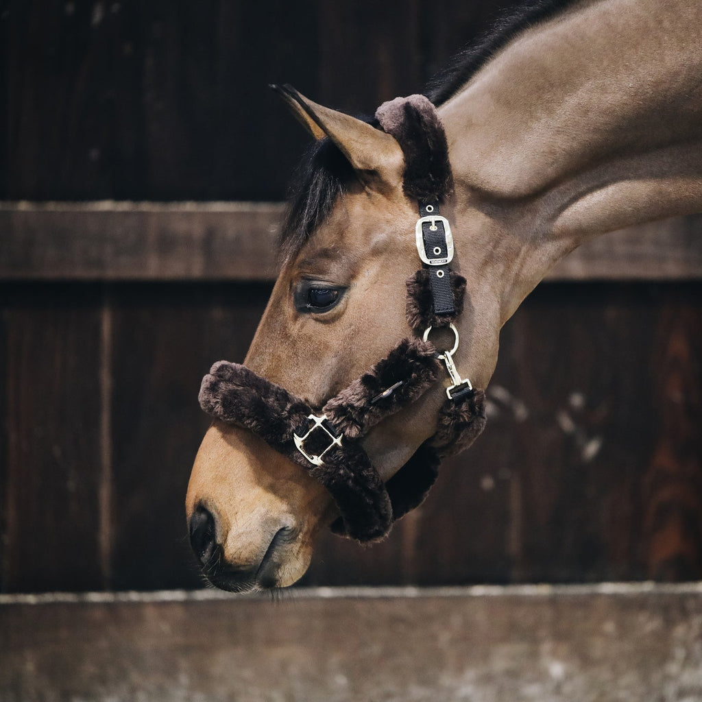 Kentucky Sheepskin Shipping Halter
