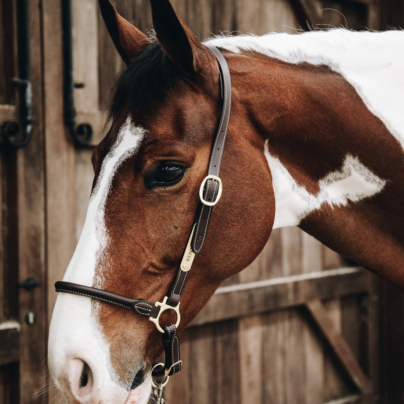 Kentucky Grooming Halster - Leer