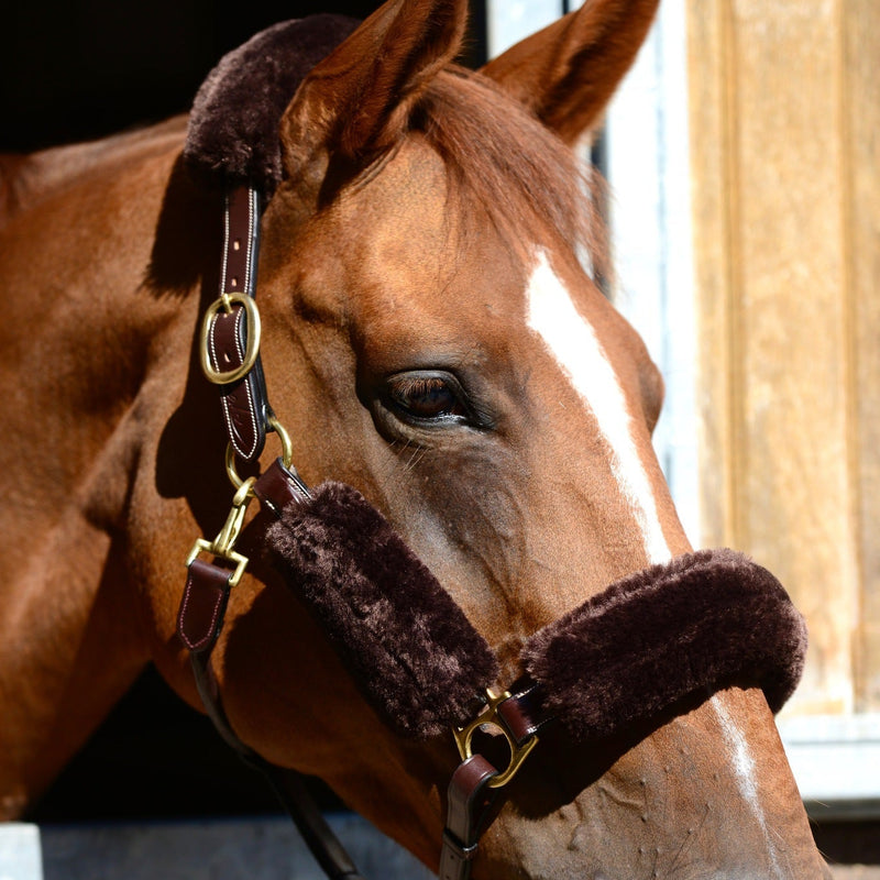 Kentucky Sheepskin Halter Cover