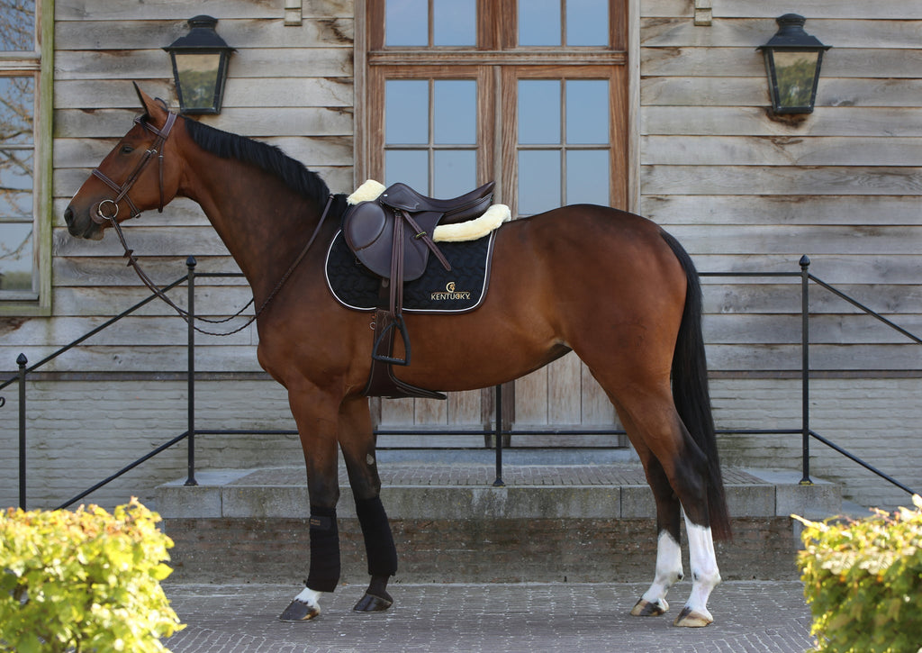Kentucky Tapis de selle avec logo - Saut d'obstacles