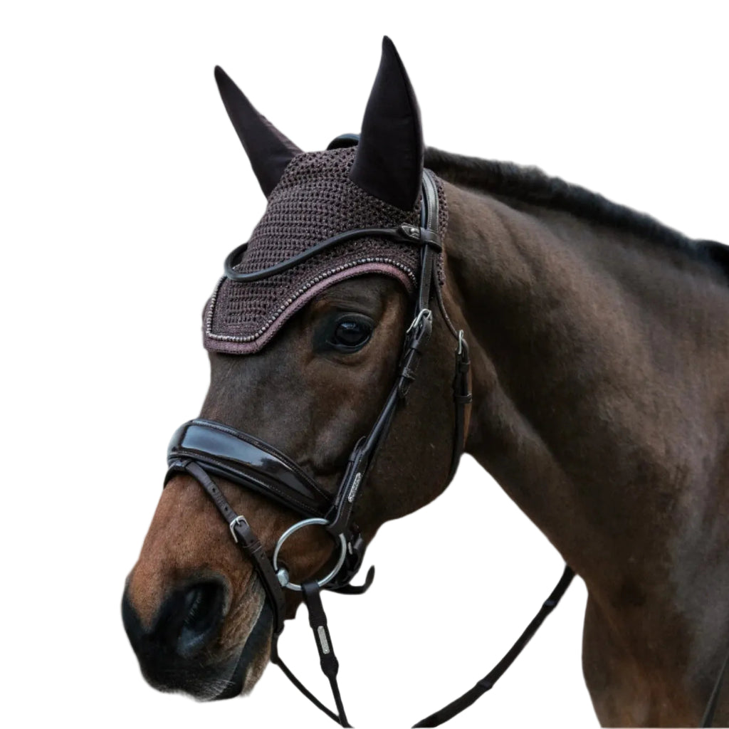 Kentucky Oornetje - Wellington - Glitter Band - Soundless