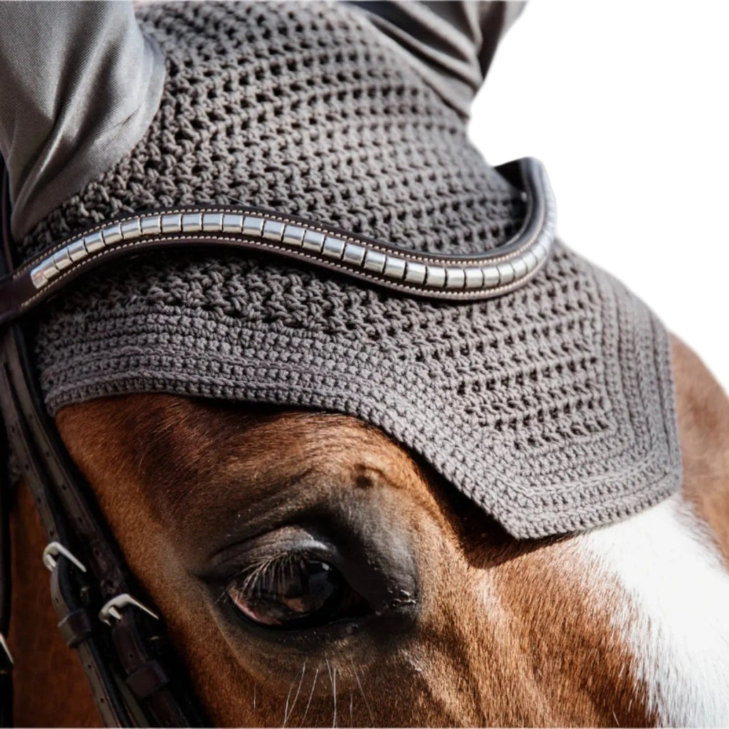 Kentucky Fliegenhaube Wellington