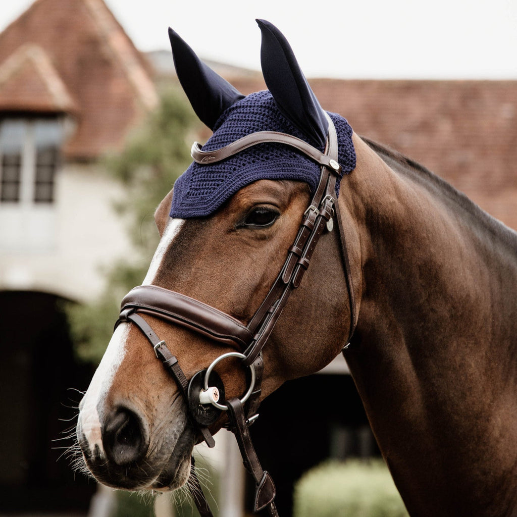 Kentucky Fliegenhaube Wellington