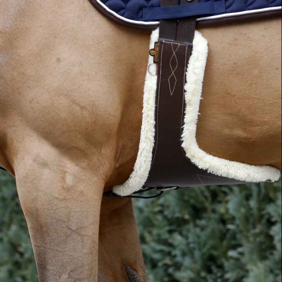 Sangle de cheval Kentucky en mouton