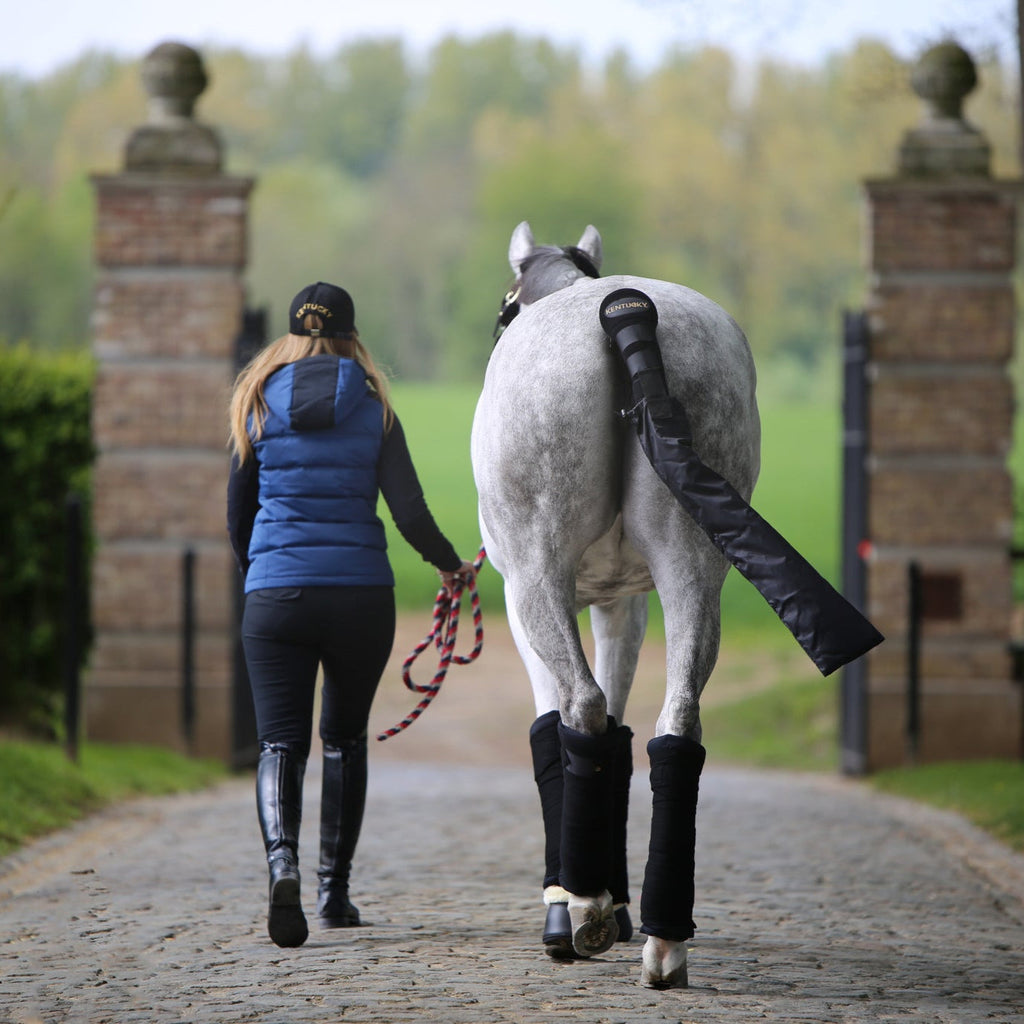 Kentucky Tail Guard - With Bag