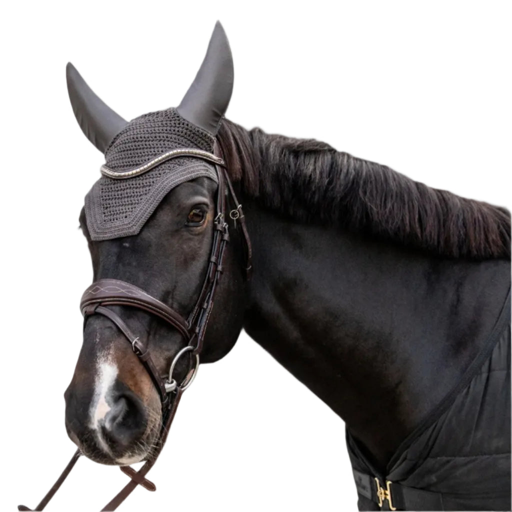 Kentucky Oornetje Wellington - Soundless
