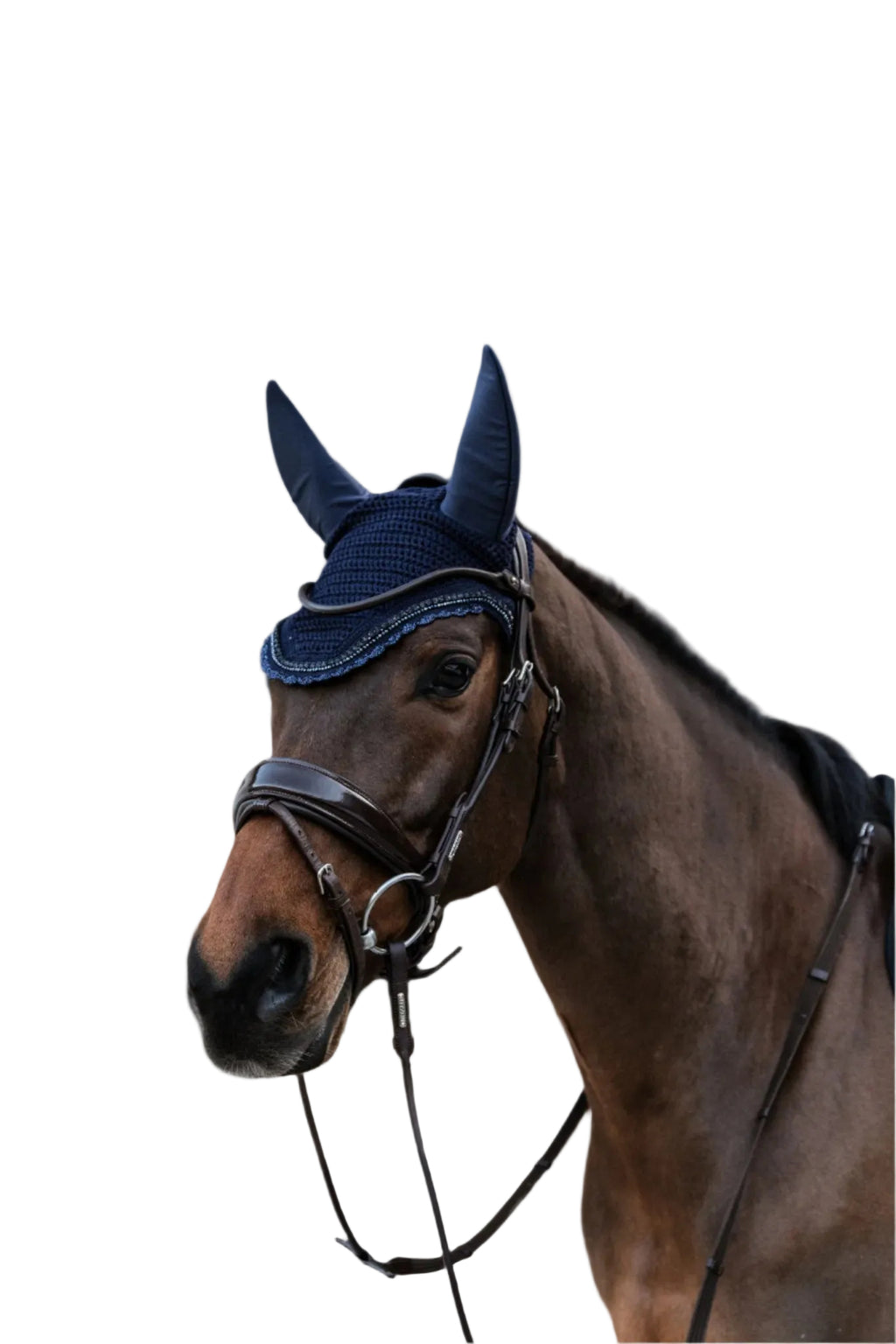 Kentucky Oornetje - Wellington - Stone & Pearl - Soundless