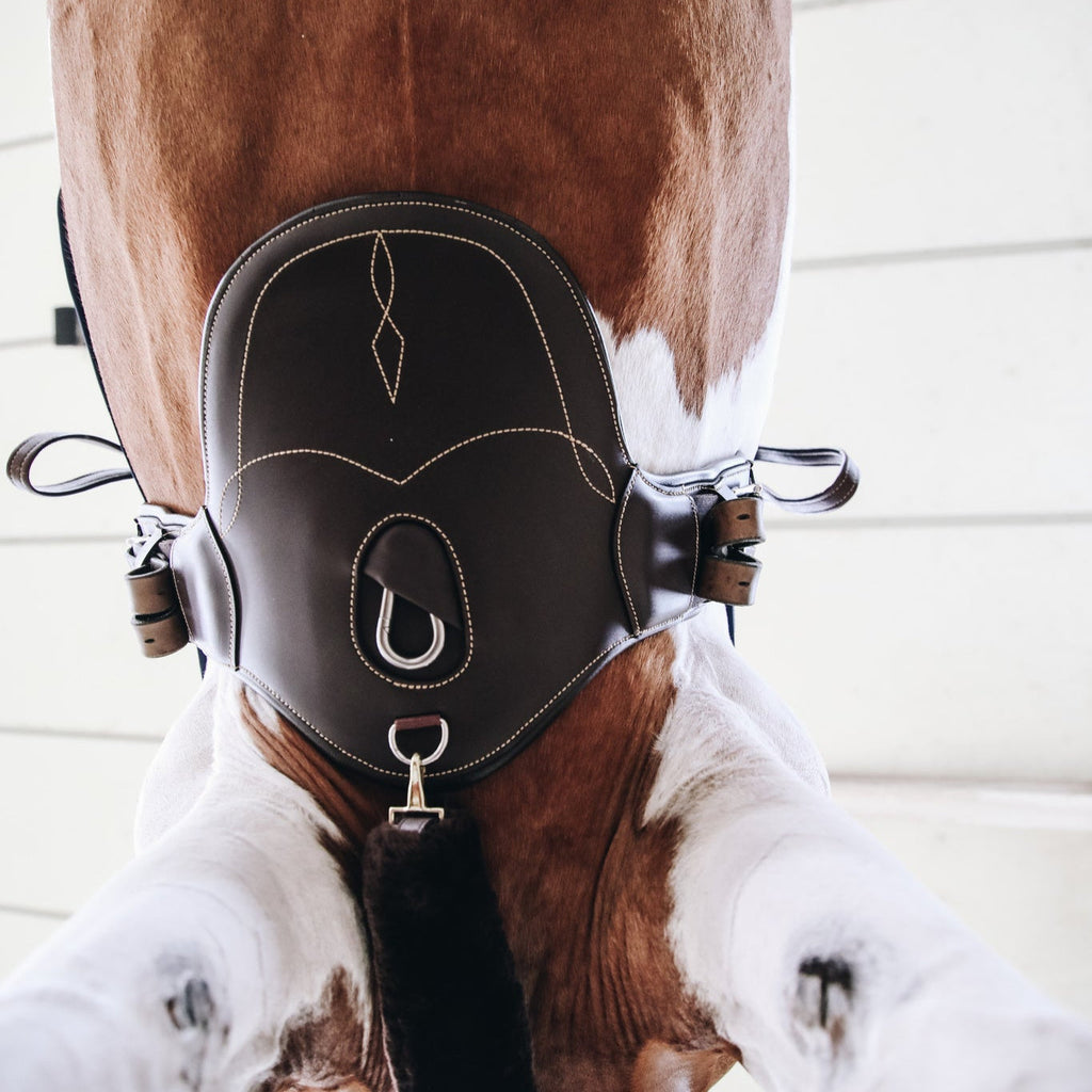 Sangle Courte Kentucky pour Poney