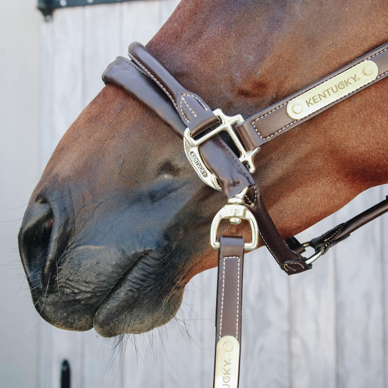 Kentucky Ketting Lijn- Leer - 2,7M