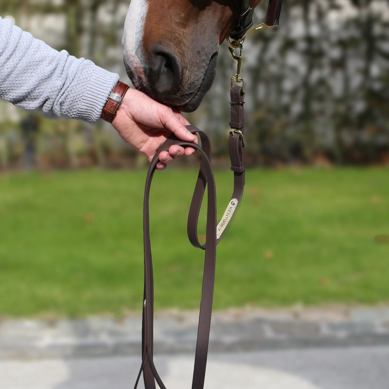 Kentucky Halsterlijn - 2M