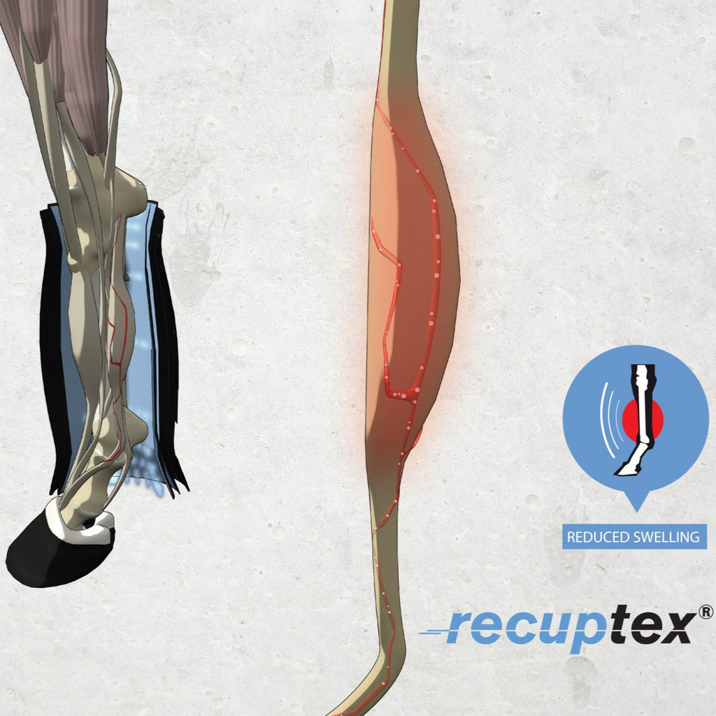 Kentucky Stalbandages - Recuptex