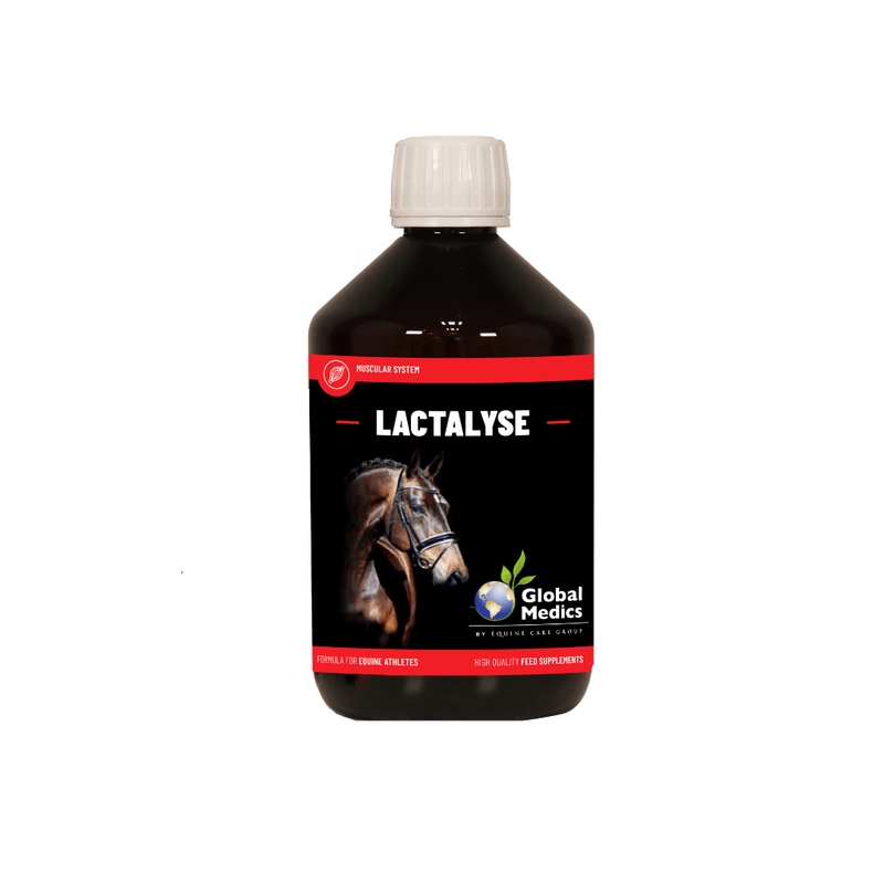Global Medics Lactalyse