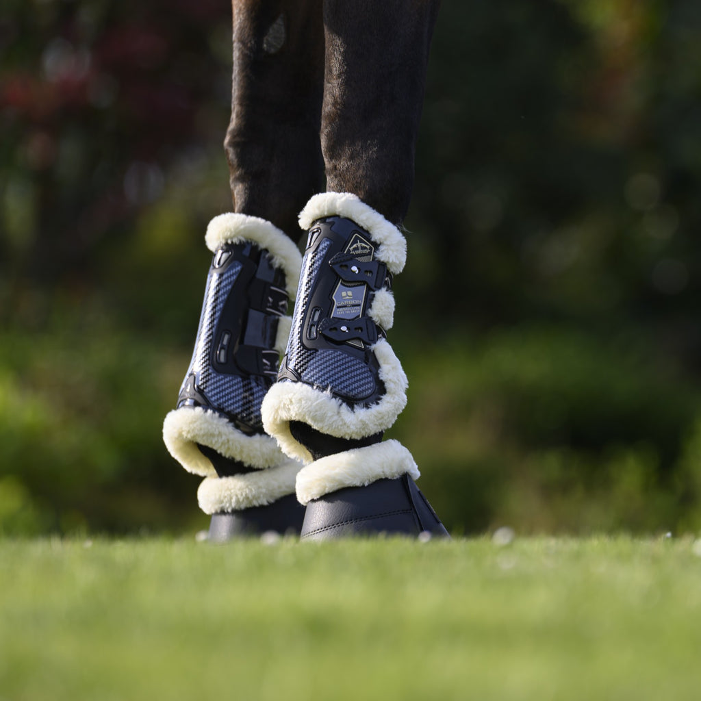 Veredus Carbon Gel Absolute Save The Sheep - Antérieurs