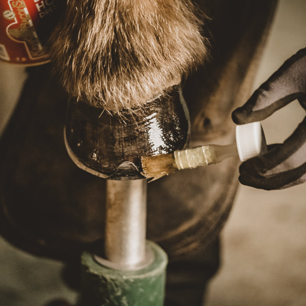 Kevin Bacon's Liquid Hoof Dressing (Olie)