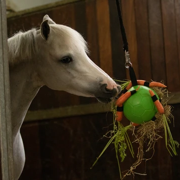 Maximus Fun Play Ball