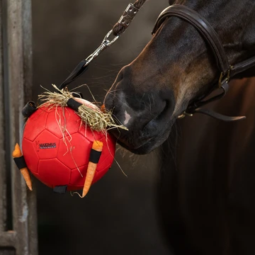 Maximus Fun Play Ball