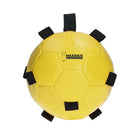 Maximus Fun Play Ball