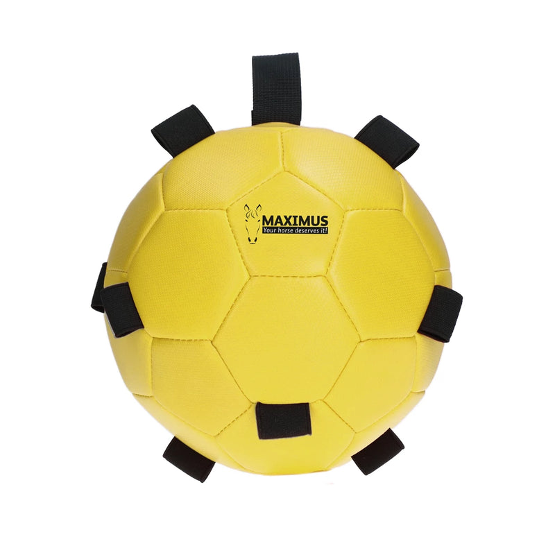 Maximus Fun Play Ball