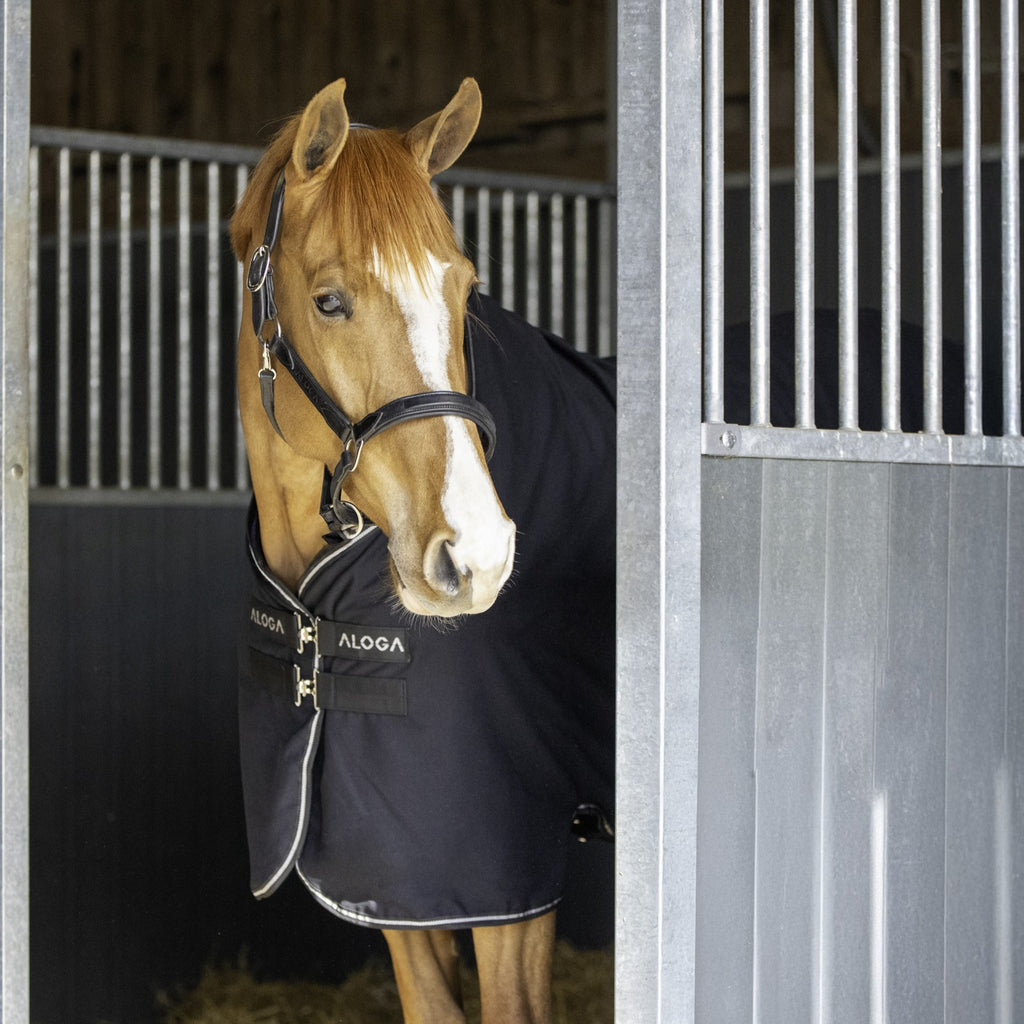 Aloga Equestrian Couverture Pro Écurie 0g