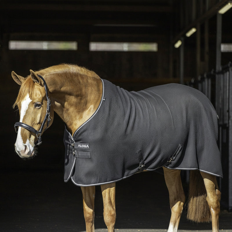 Aloga Equestrian Waffle Cooler