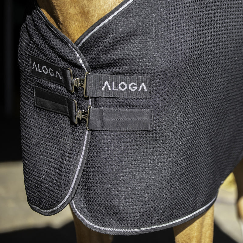 Aloga Equestrian Waffle Cooler