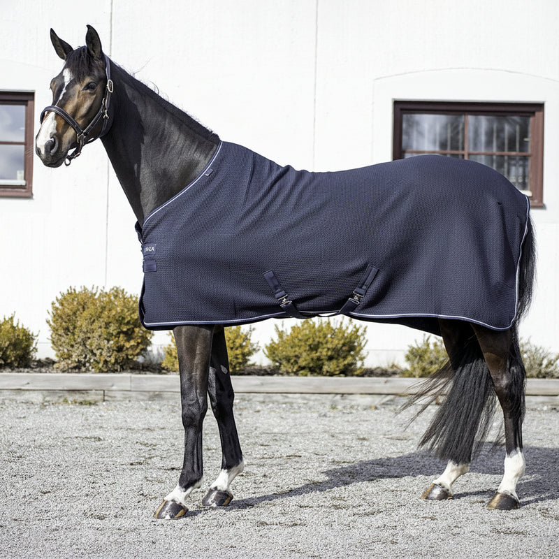 Aloga Equestrian Waffle Cooler