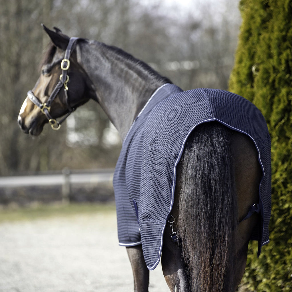 Aloga Equestrian Waffle Cooler