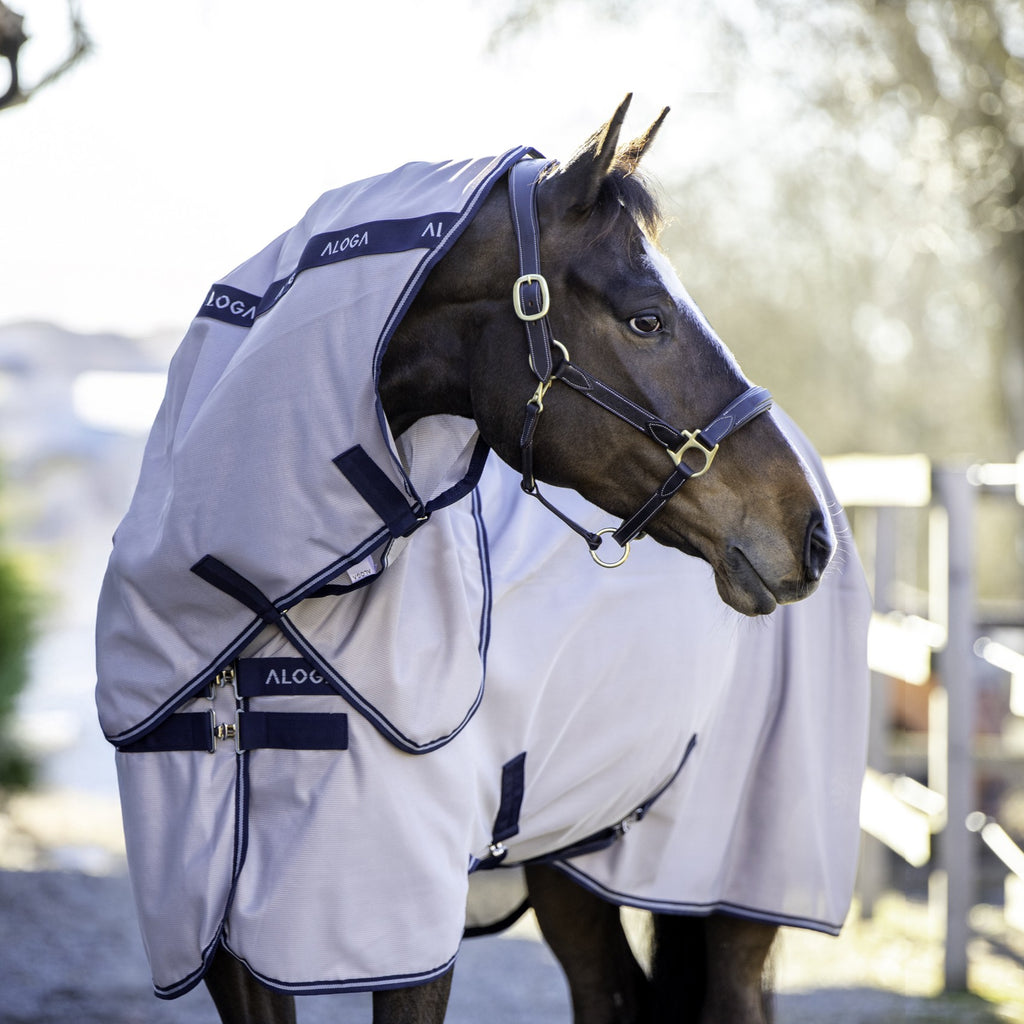 Aloga Equestrian Fliegen Decken