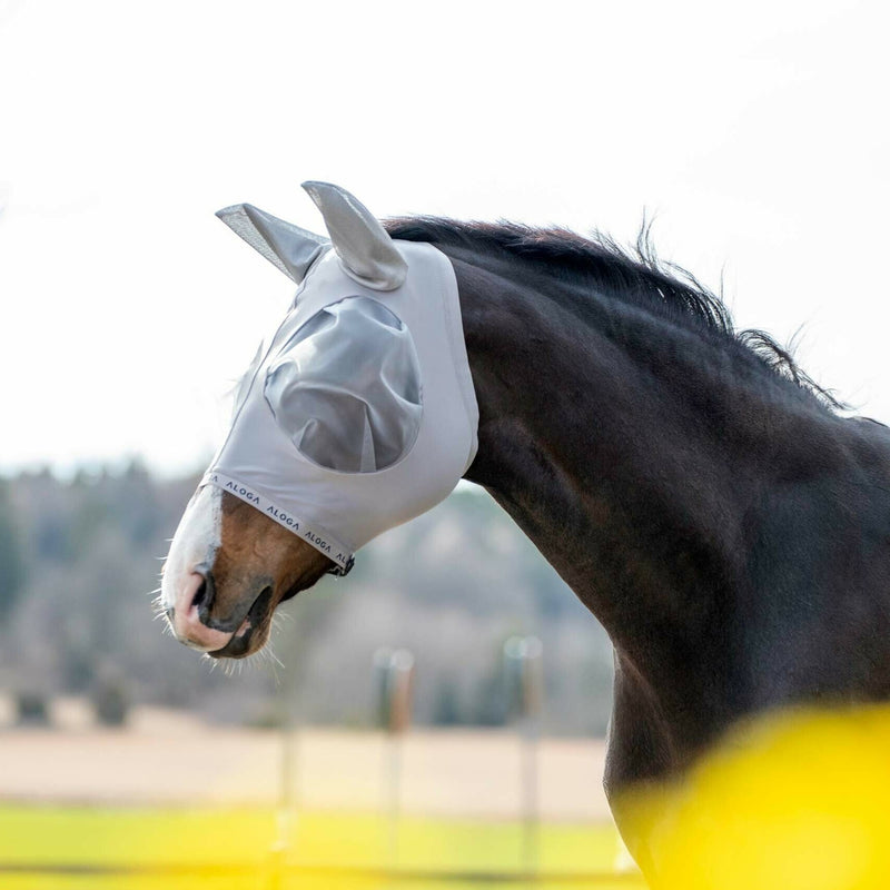 Aloga Equestrian Fly Mask