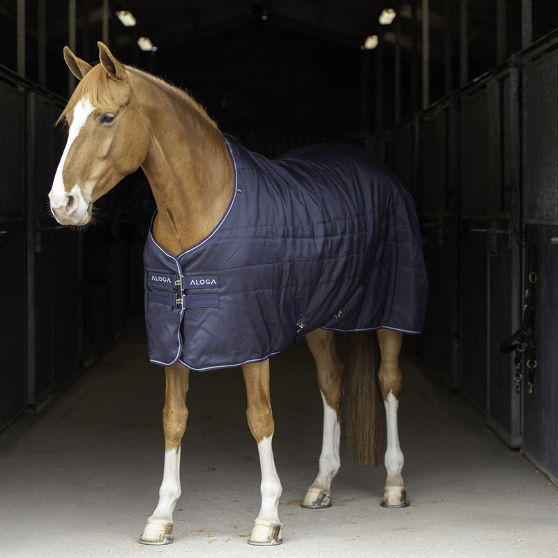 Aloga Equestrian Rug Pro Stable 100g