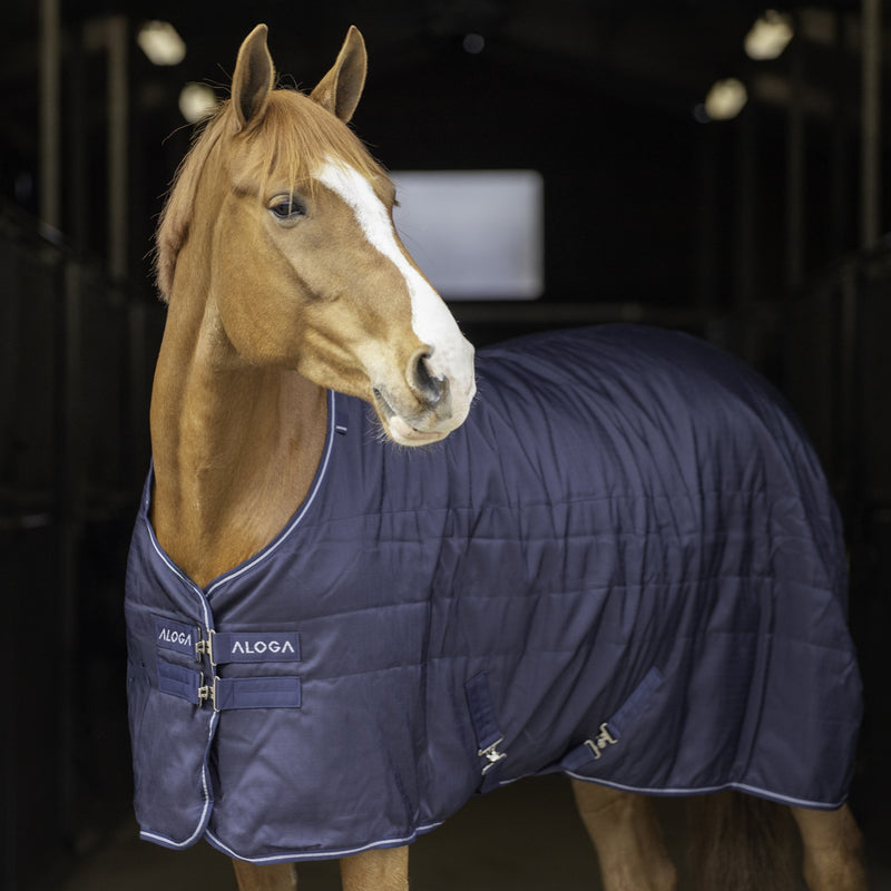 Aloga Equestrian Rug Pro Stable 100g