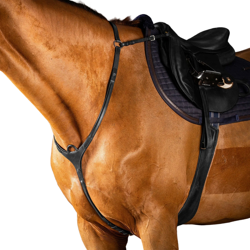 Dy'on Collier de Chasse Avec Pont